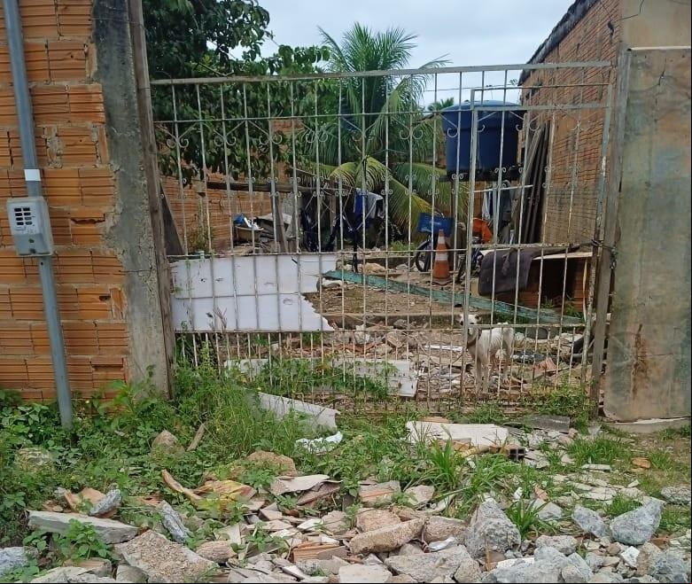 Polícia Civil prende tutor de cães abandonados sem água e comida em Várzea Grande