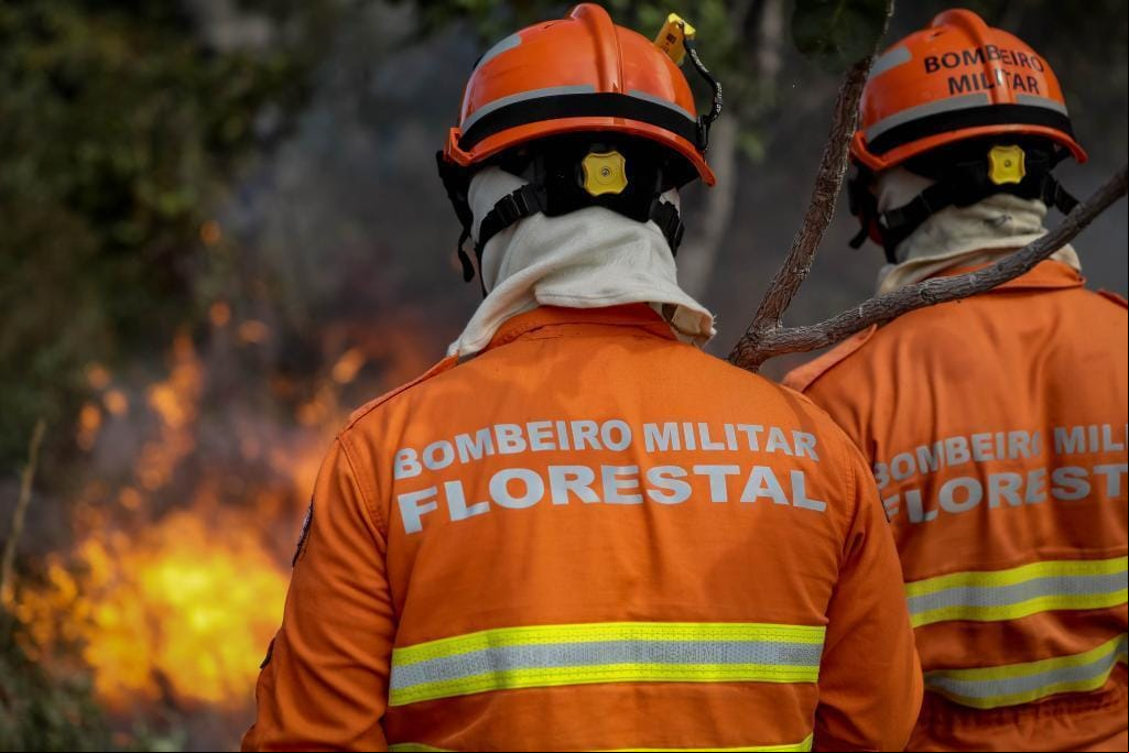 Uso do fogo em área do Pantanal está proibido a partir deste domingo (1º)