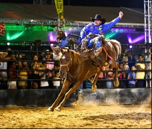 Estrutura da 12ª Semana do Cavalo será uma das melhores do Centro-Oeste