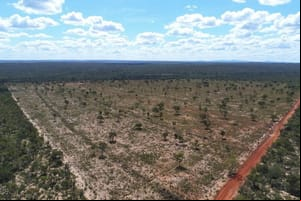 Após acordo com MP, produtor rural terá que pagar R$ 308 mil e recuperar área degradada em MT
