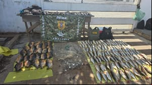 Ação integrada combate pesca predatória no rio Cuiabá e apreende centenas de pescado