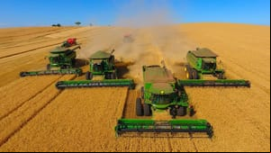 PGE e Defaz bloqueiam mais de R$ 230 milhões de grupo do agro em MT por sonegação fiscal