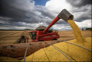 Criminosos usam empresa agrícola e aplicam golpes de R$ 1,2 milhão em produtores de soja