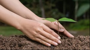 Unimed promove doação de mudas em celebração ao Dia do Meio Ambiente