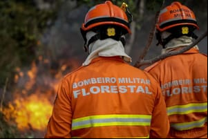 Uso do fogo em área do Pantanal está proibido a partir deste domingo (1º)